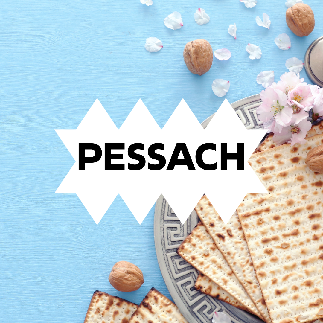 Matze auf einem Teller vor hellblauem Hintergrund.